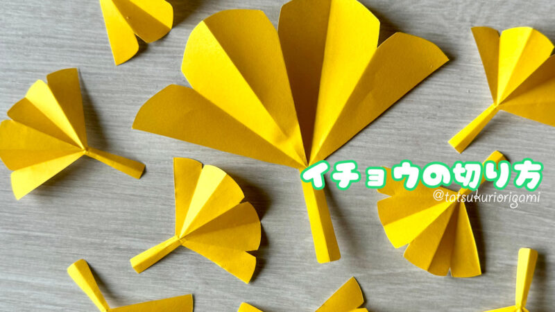 イチョウの切り方サムネ