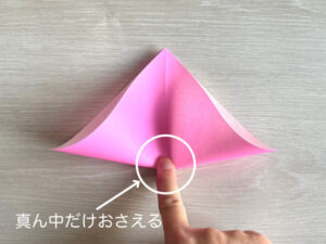 印をつけているところ
