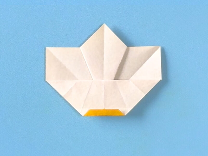 折ったところ