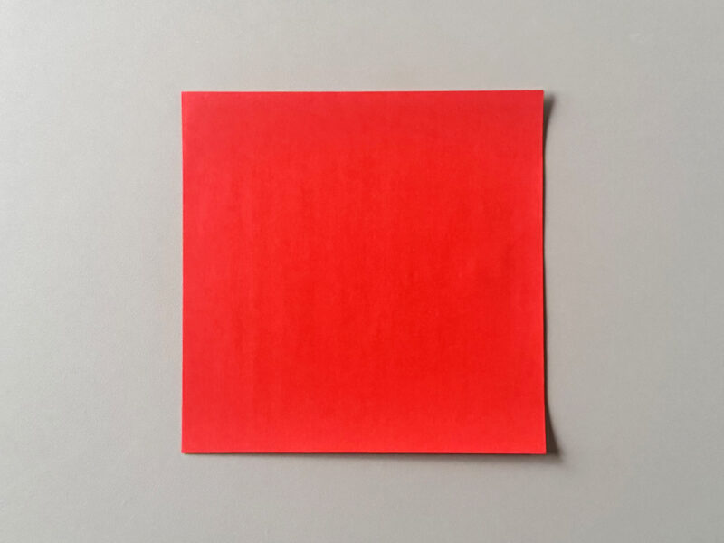 折り紙1枚の画像