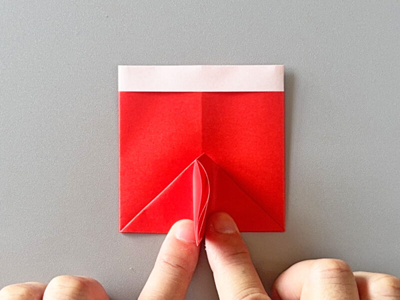 つまんだところの画像2