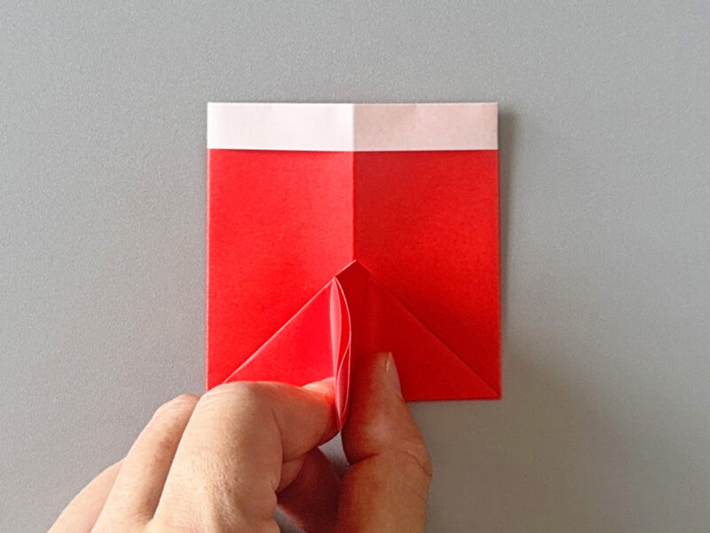 つまんだところの画像