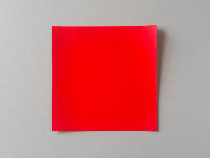 折り紙1枚の画像