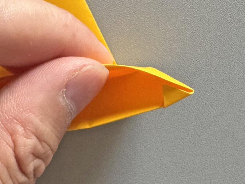 中に入れているところの画像